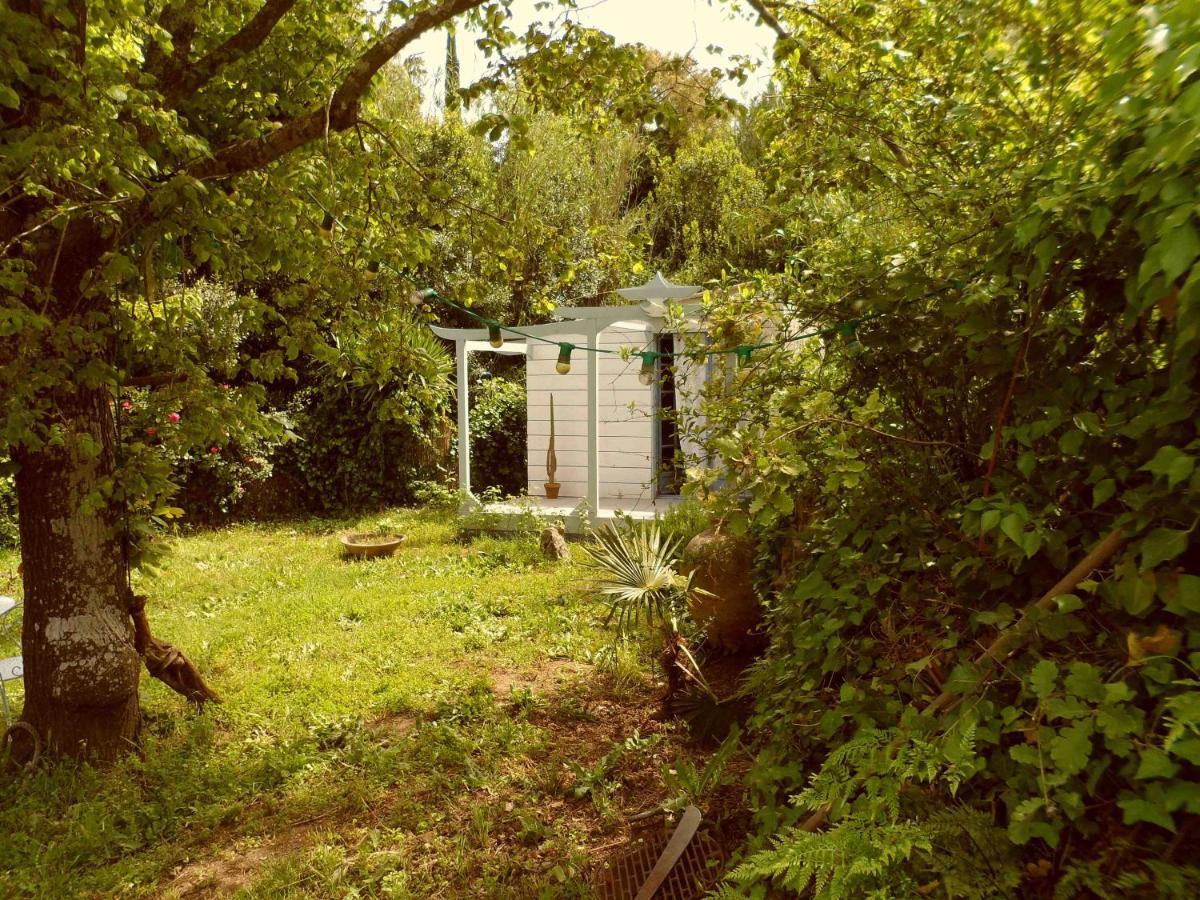 Maison D'Hotes Le Calme แซ็ง-ทรอเป ภายนอก รูปภาพ